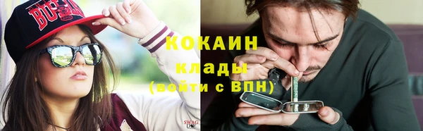 кокс Бородино