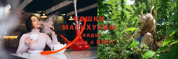 ECSTASY Богданович