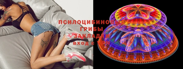 кокс Бородино