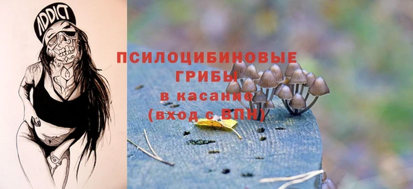 кокс Бородино
